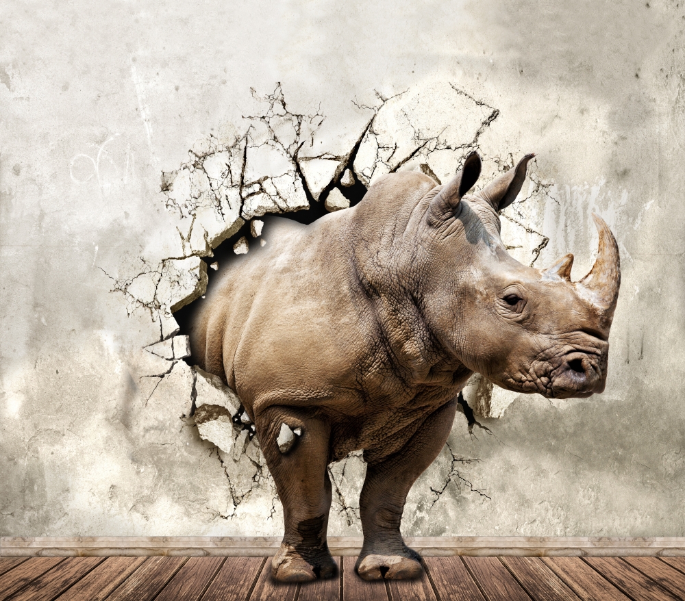 Носорог в стене