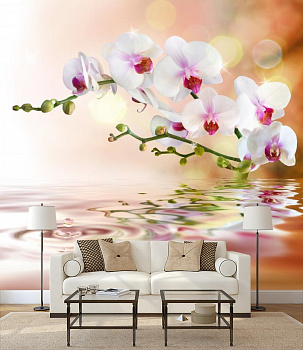 Белая орхидея над водой в интерьере гостиной с диваном