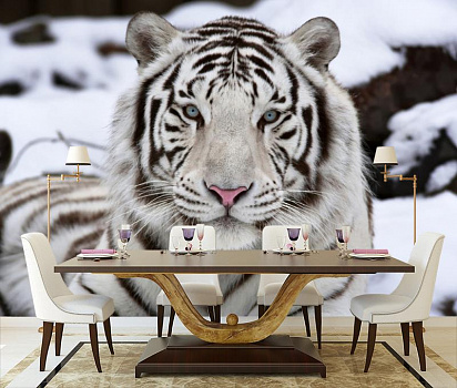 Белый тигр на снегу в интерьере кухни с большим столом