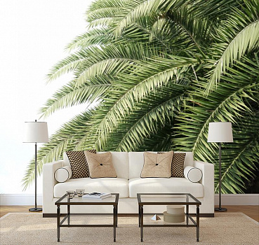 Пальмовые ветви в интерьере гостиной с диваном