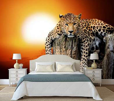 Леопард на закате в интерьере спальни