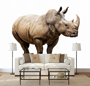 Носорог в интерьере гостиной с диваном