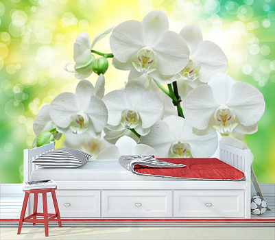 Букет из белых орхидей в интерьере детской комнаты мальчика