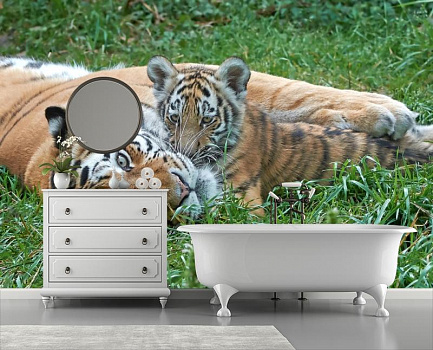 Тигрица с тигренком в интерьере ванной