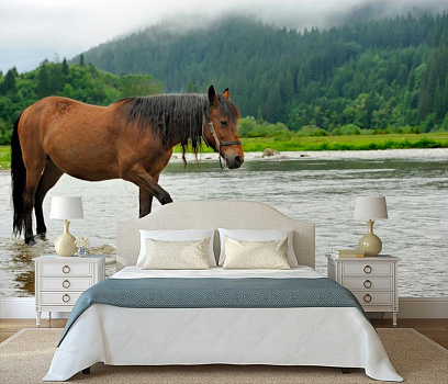Конь на водопое в интерьере спальни