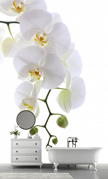 Ветка орхидеи в интерьере ванной