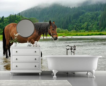 Конь на водопое в интерьере ванной