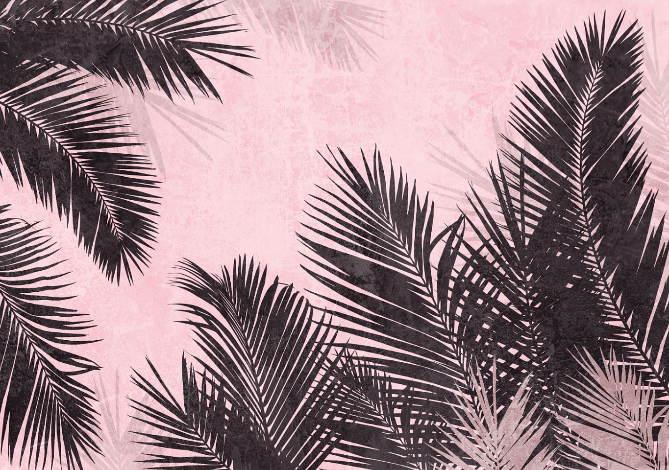 Tropics