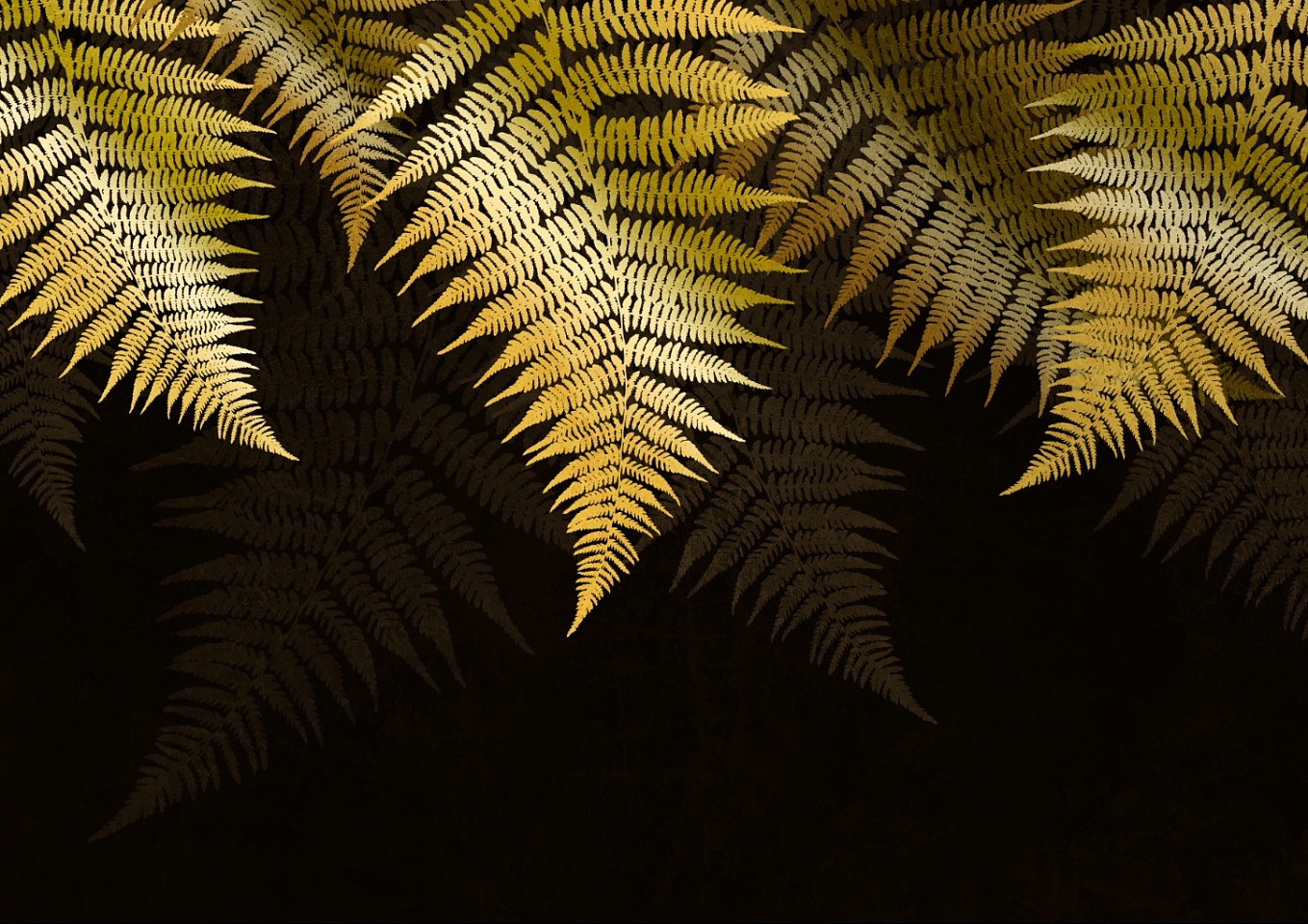 Tropics