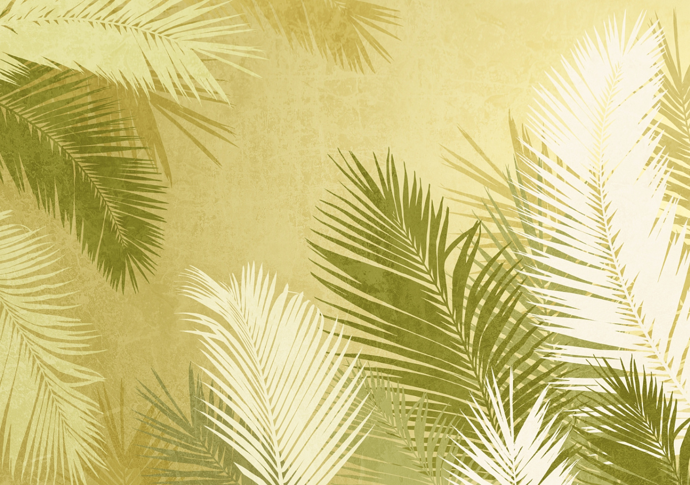 Tropics