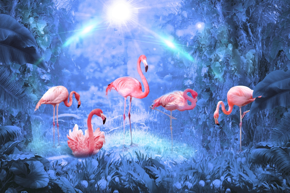 Розовый фламинго в голубом свете 