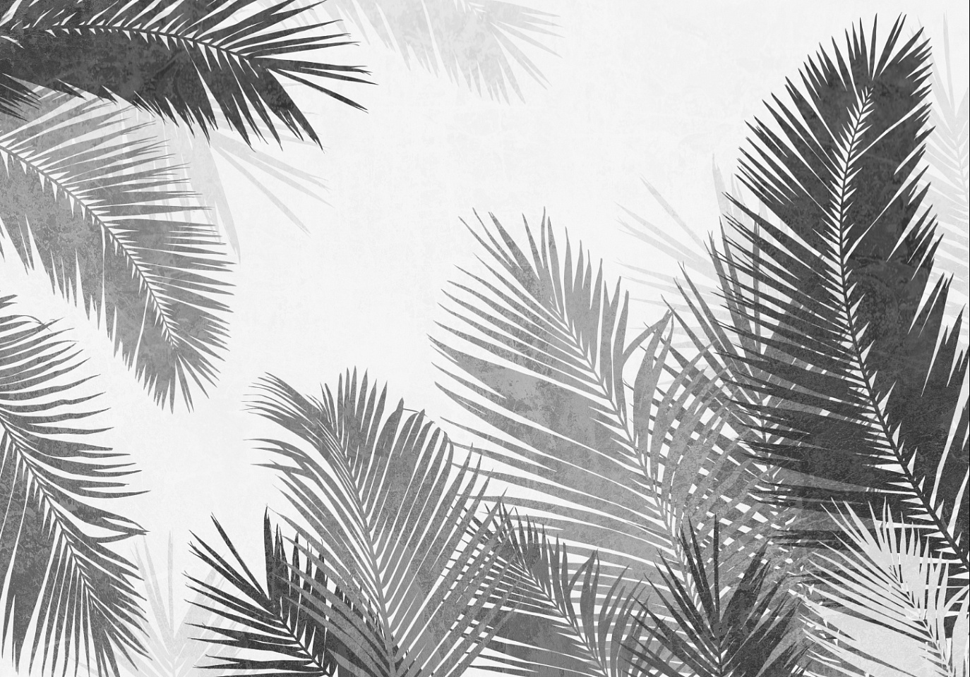 Tropics