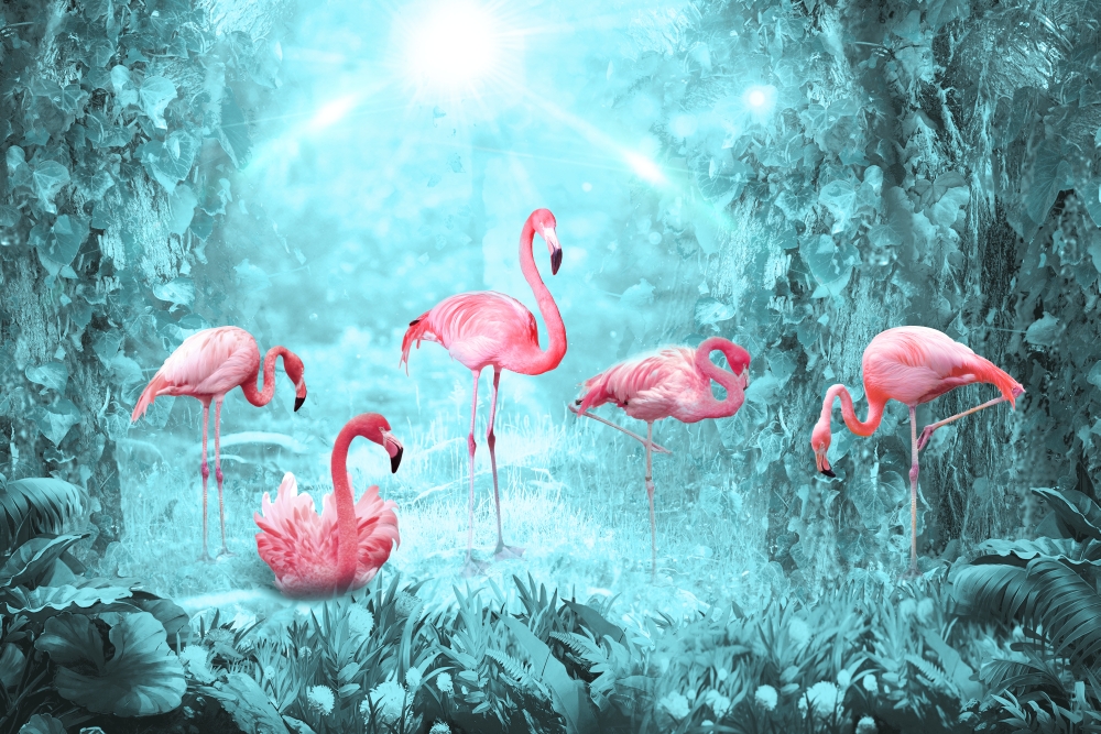 Розовые фламинго 