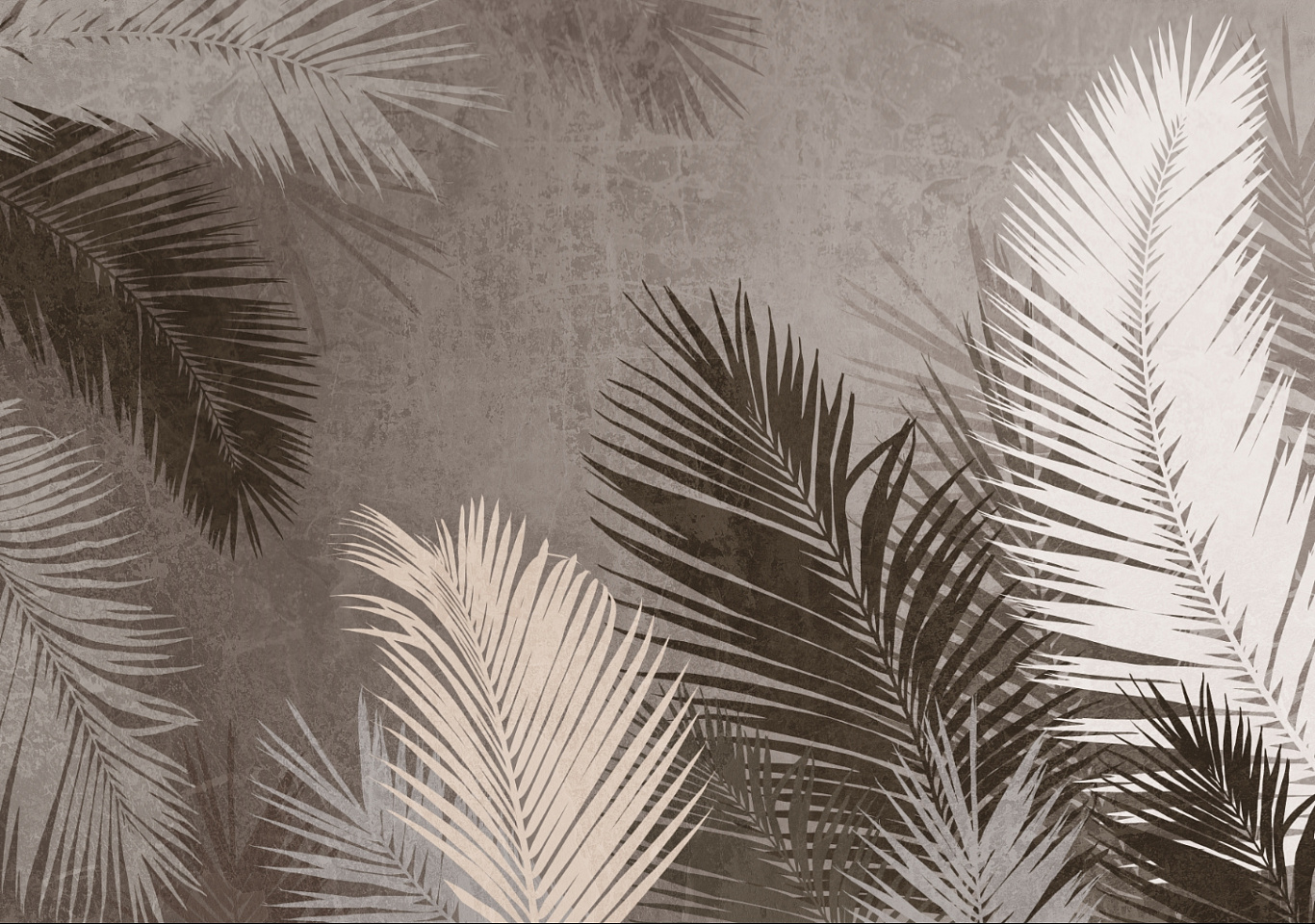 Tropics
