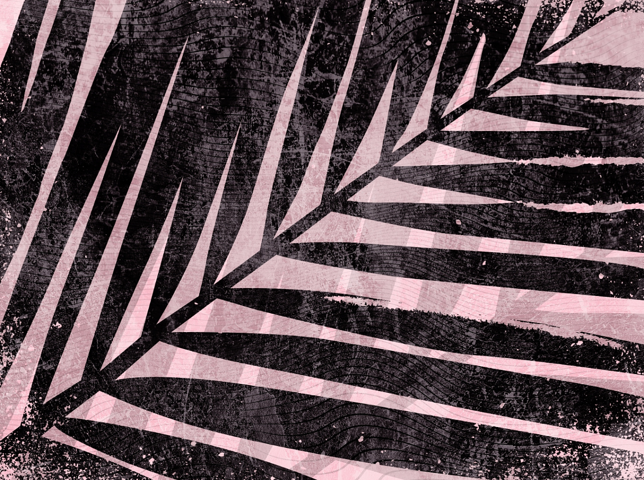 Tropics