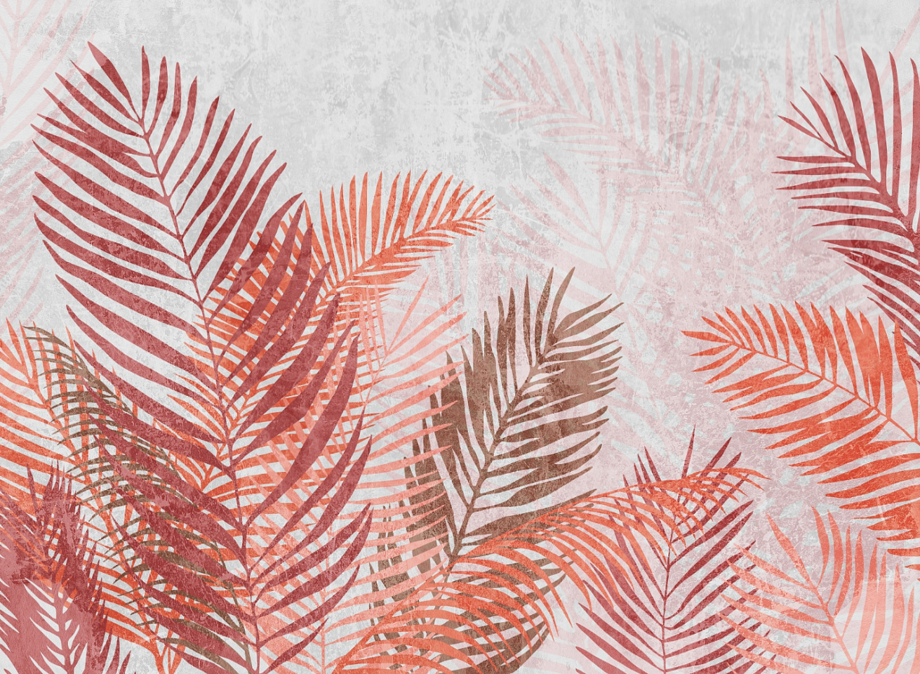 Tropics