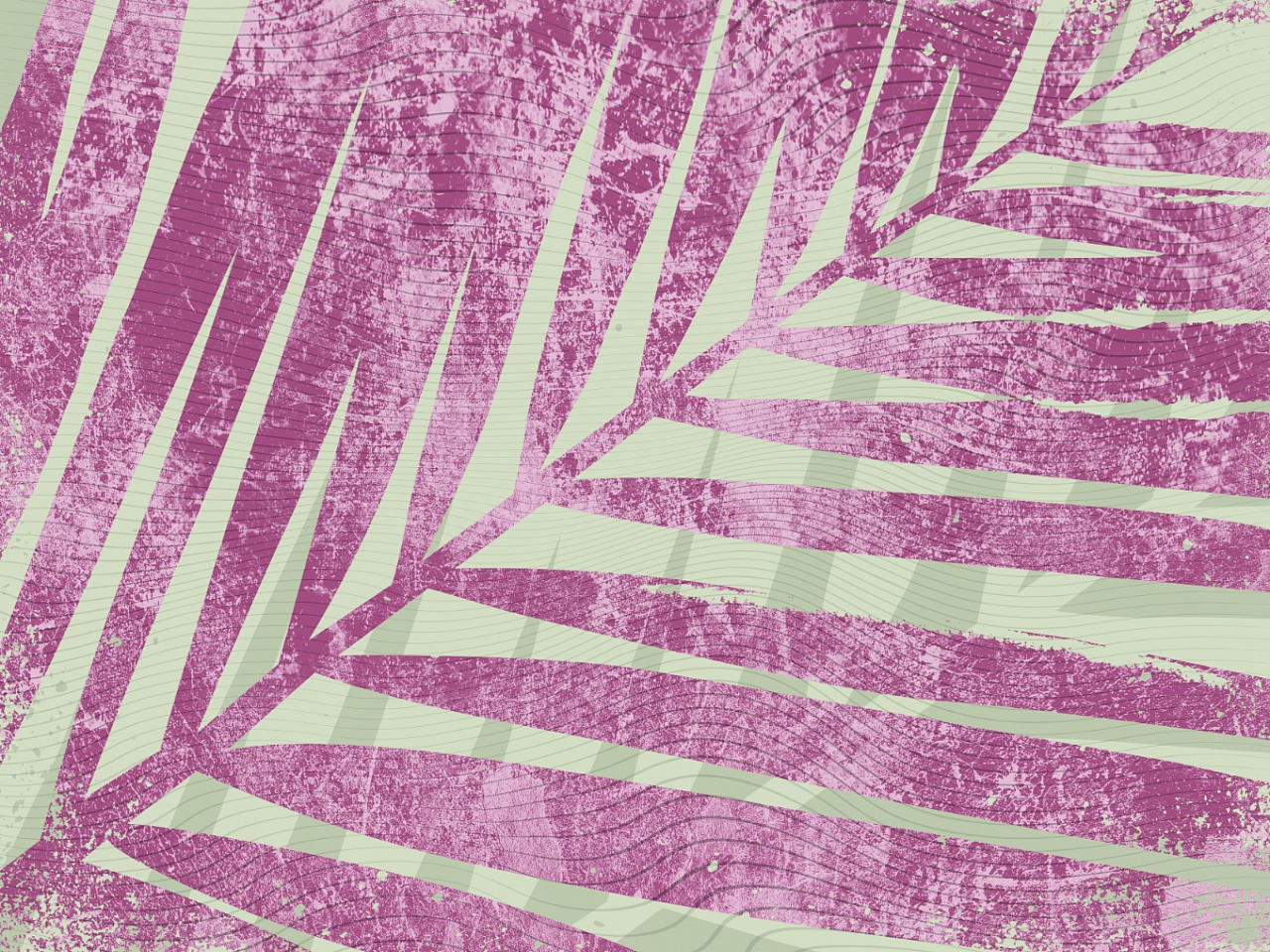 Tropics