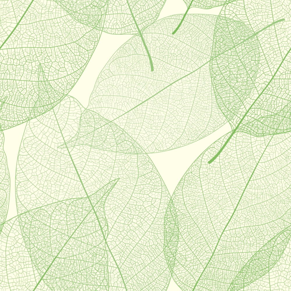 Прозрачные зеленые листья