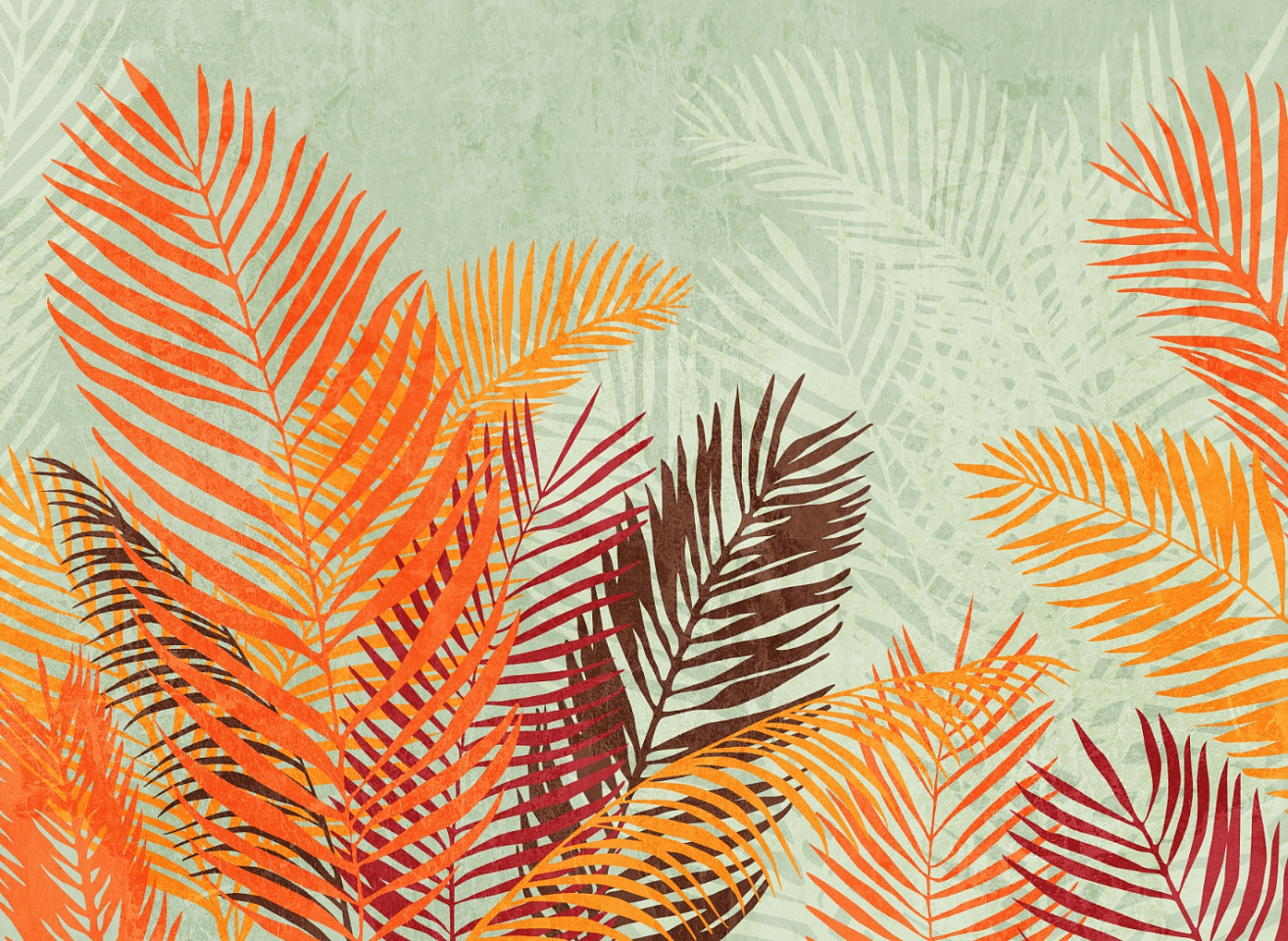 Tropics