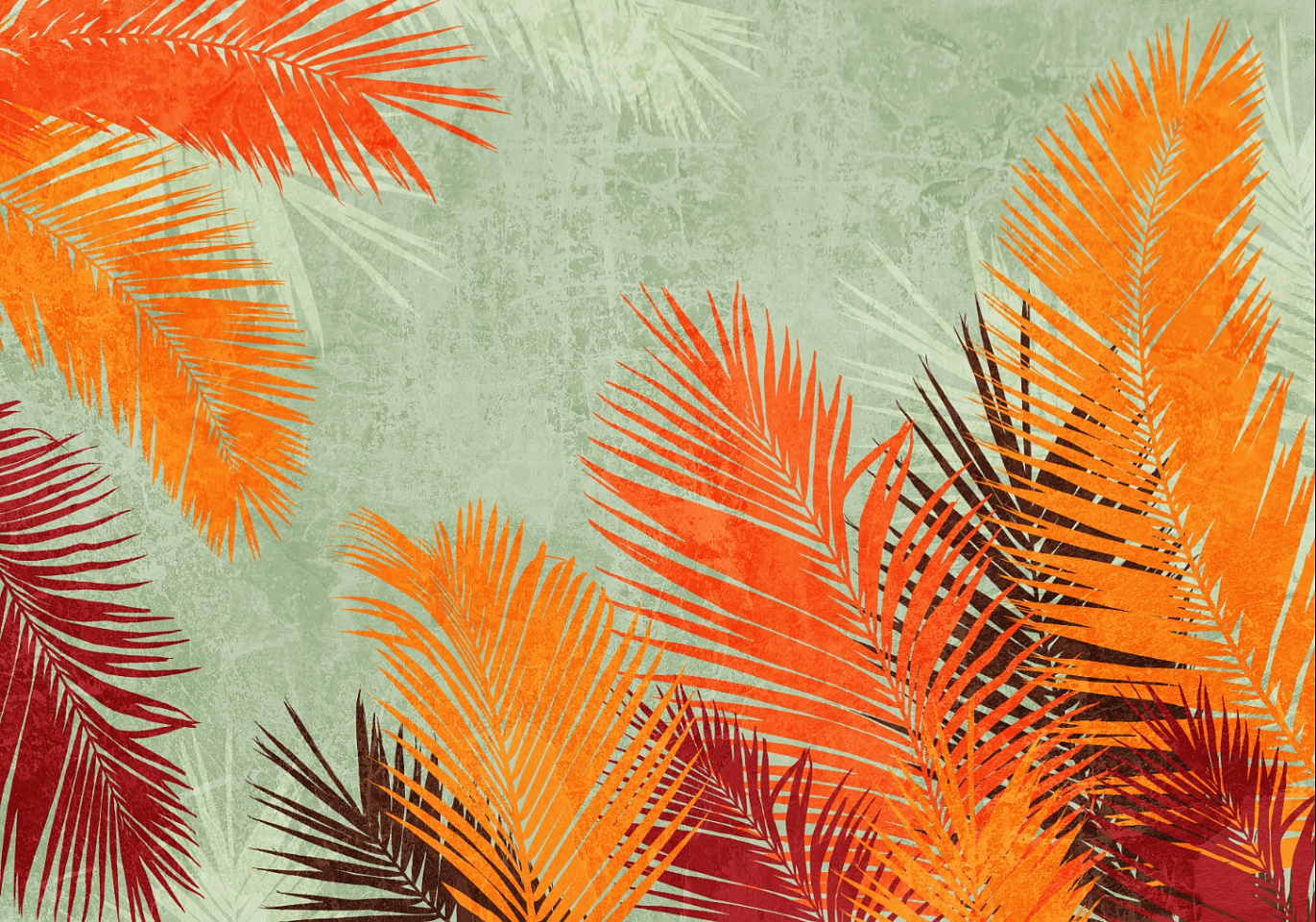 Tropics