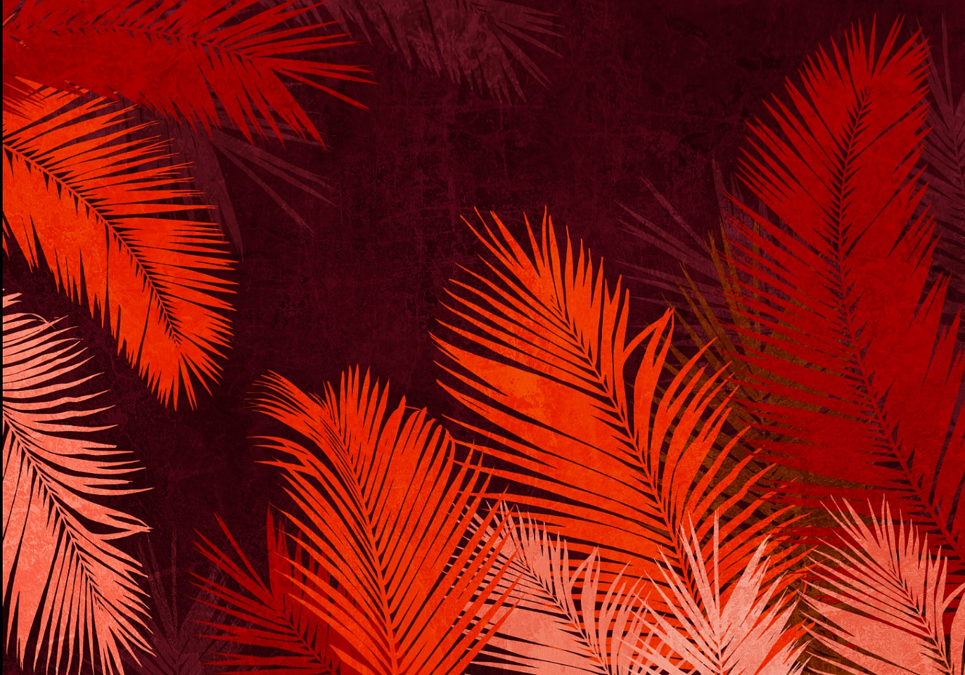 Tropics