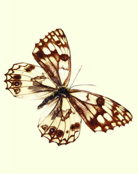 1500-F-0158.jpg