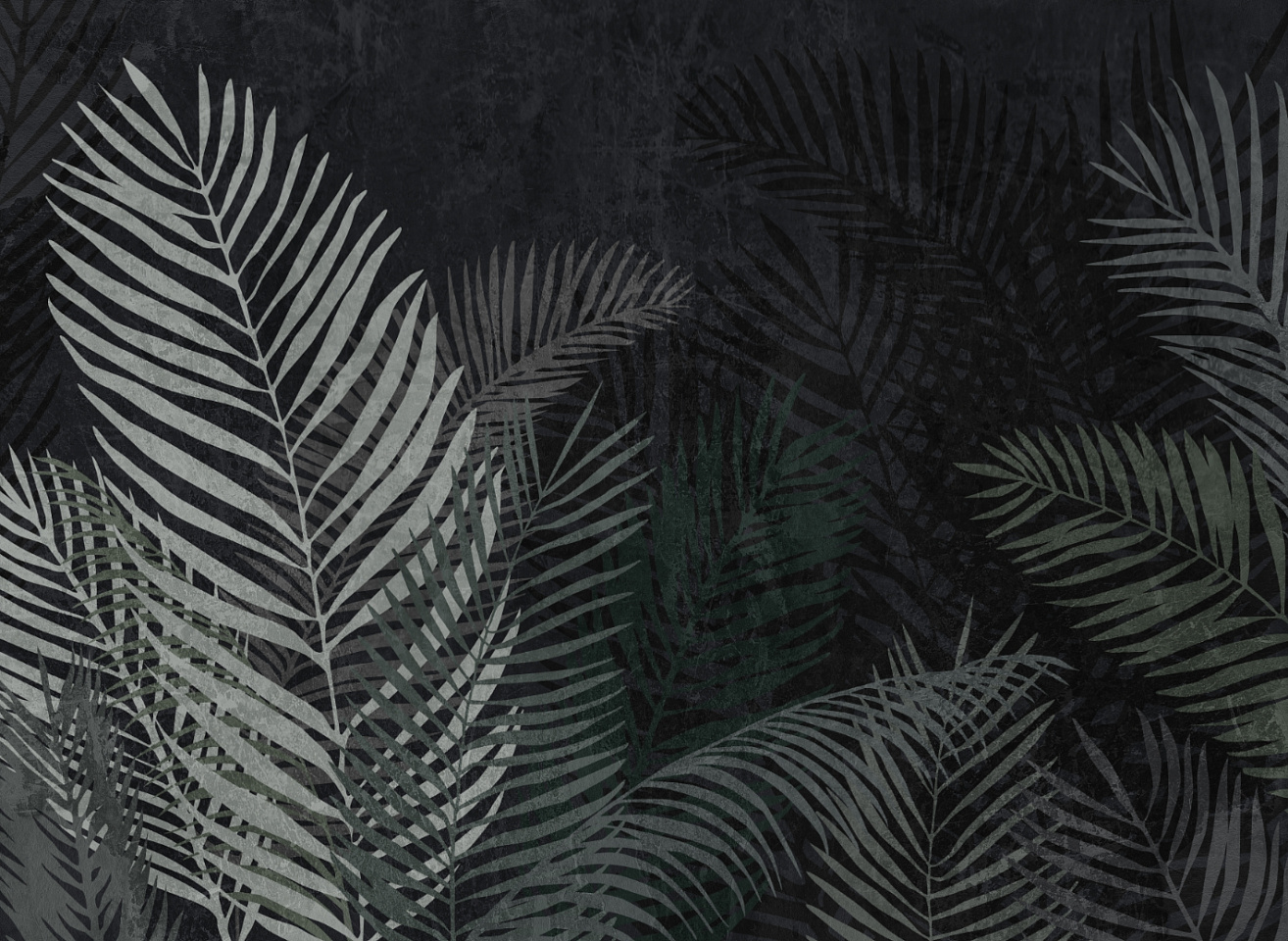 Tropics