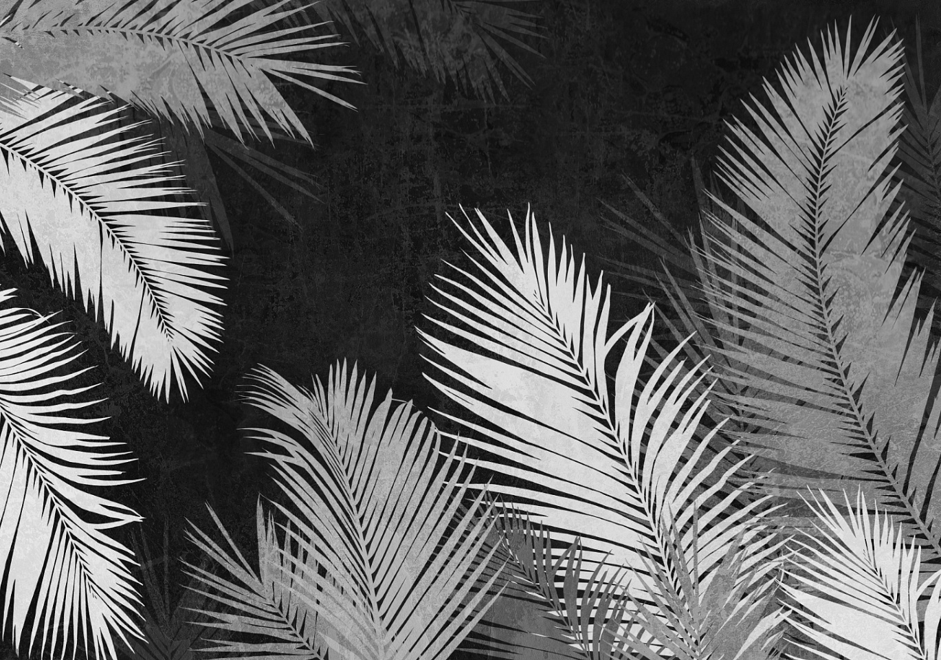 Tropics