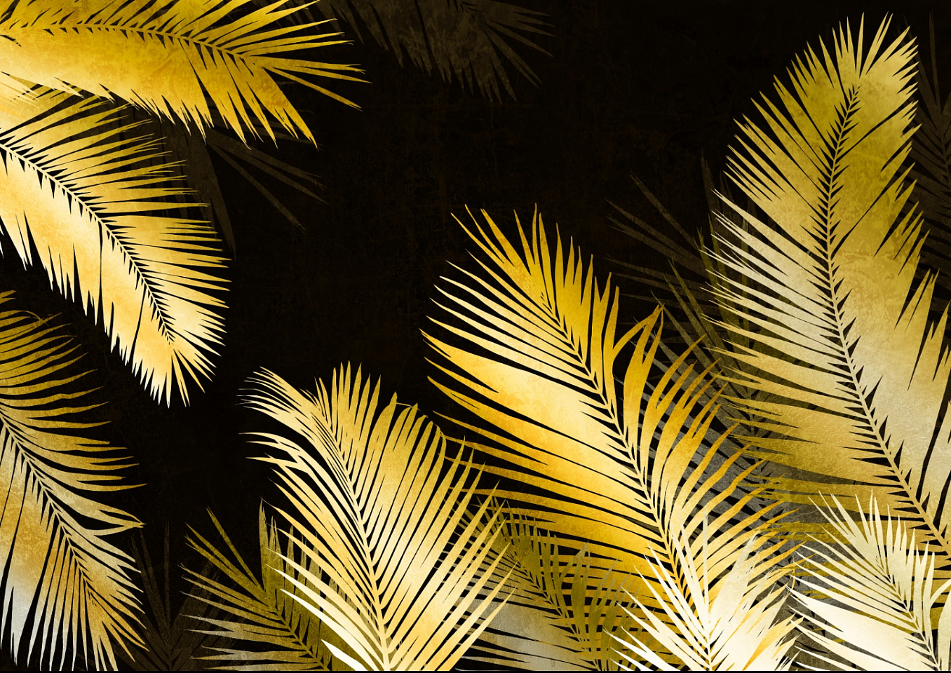Tropics