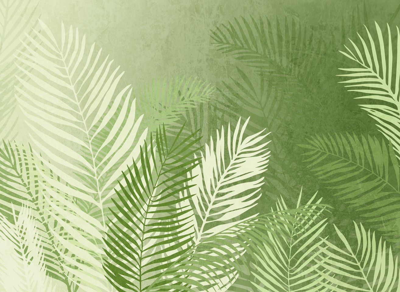Tropics