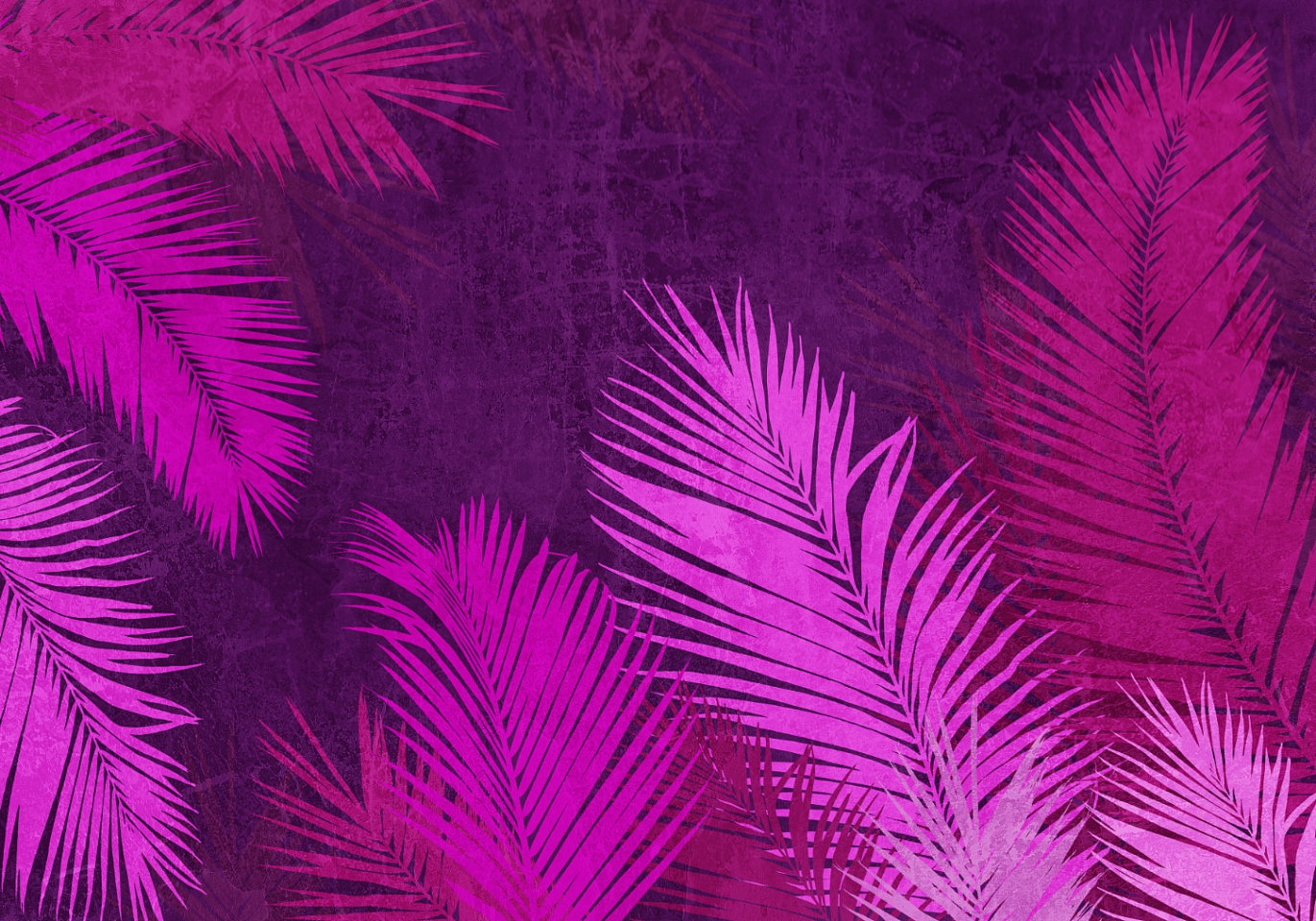 Tropics