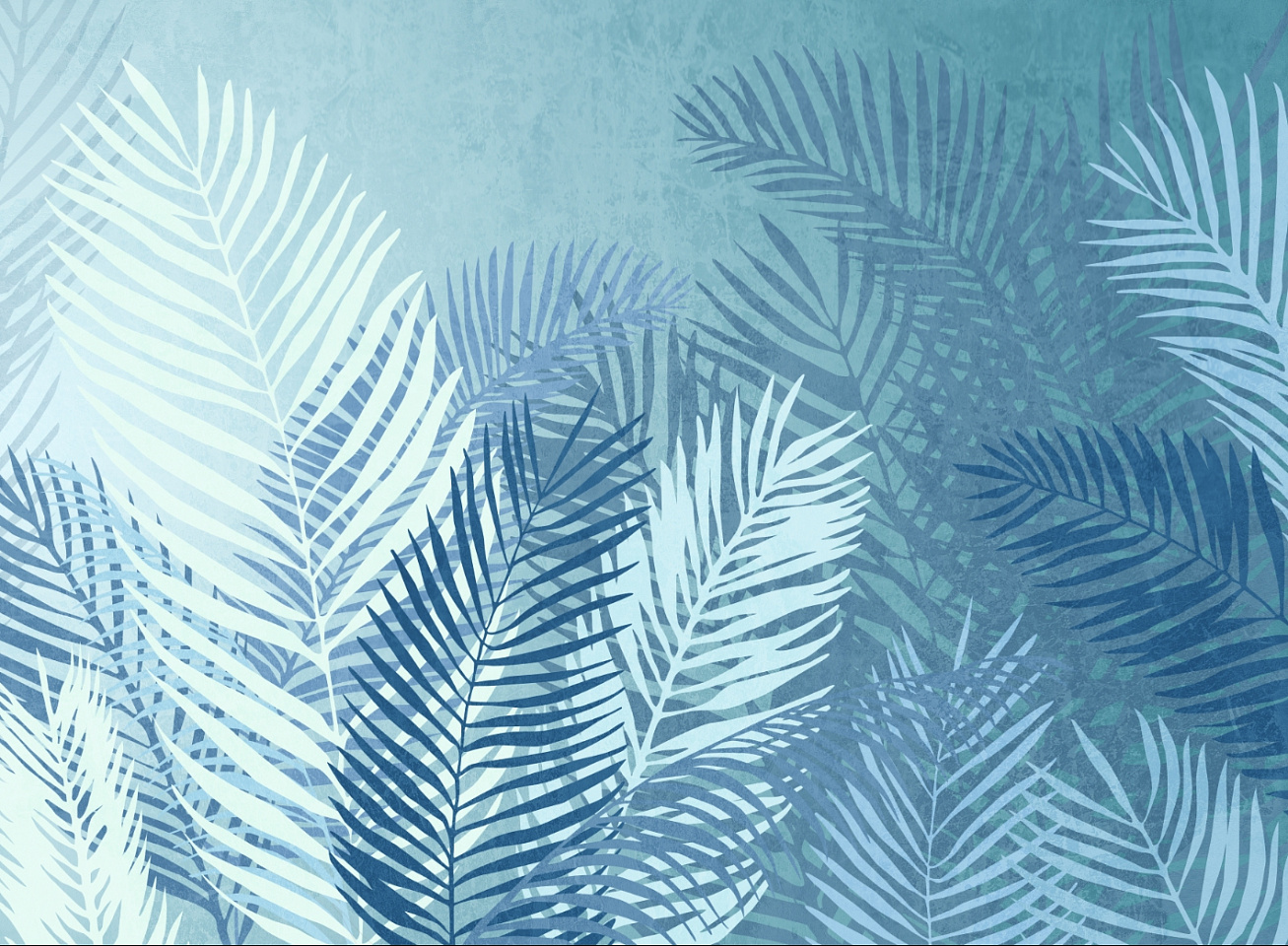 Tropics