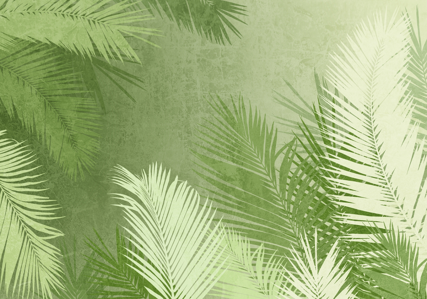 Tropics