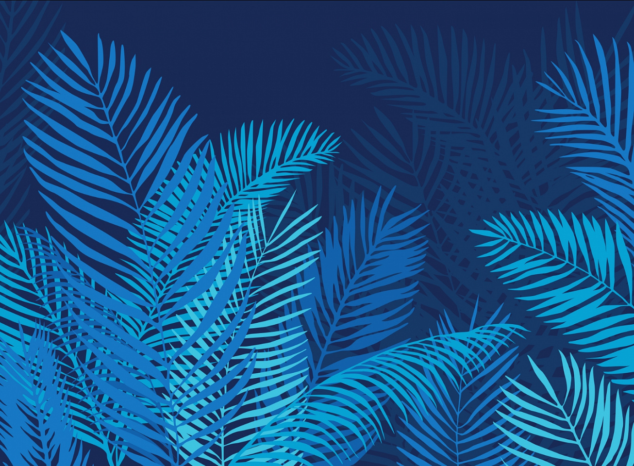 Tropics