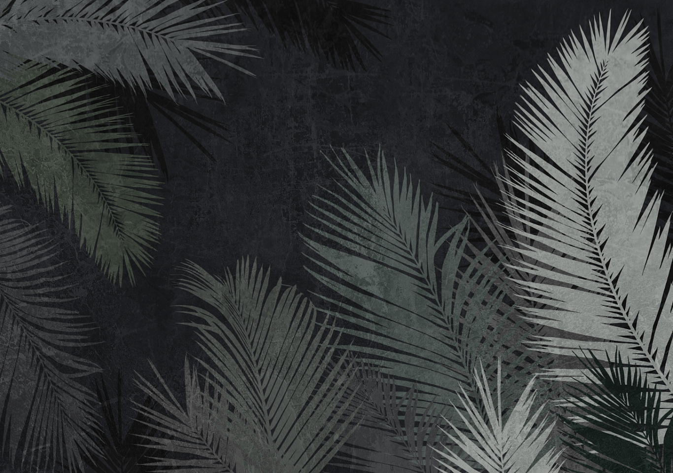 Tropics