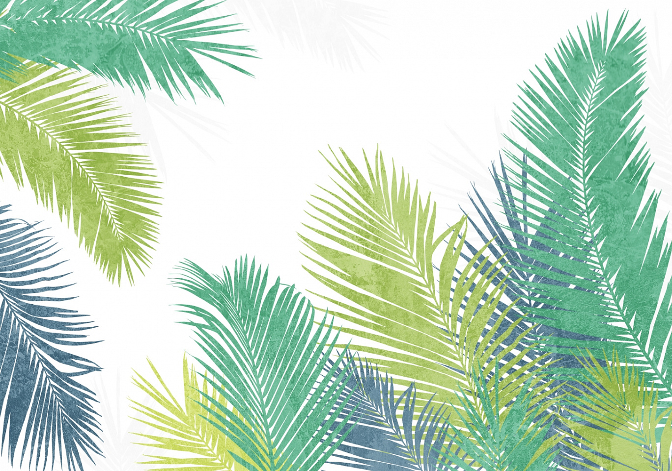 Tropics