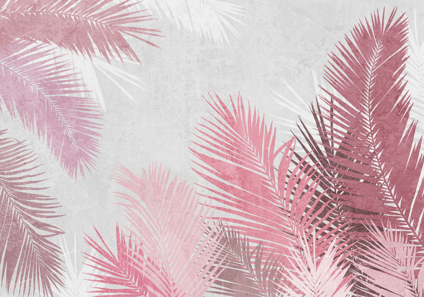 Tropics