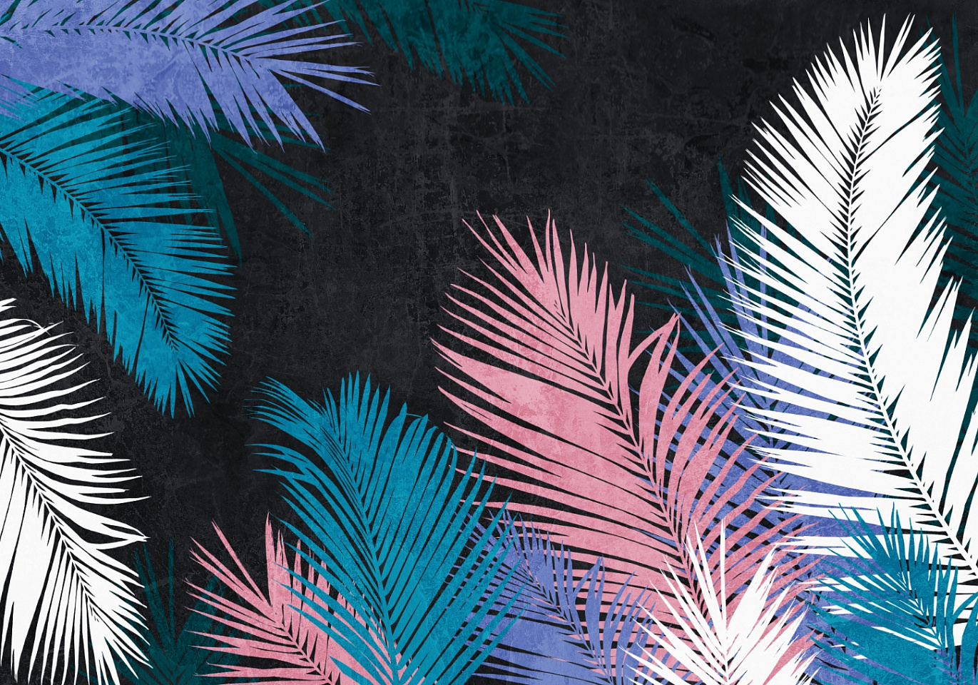 Tropics