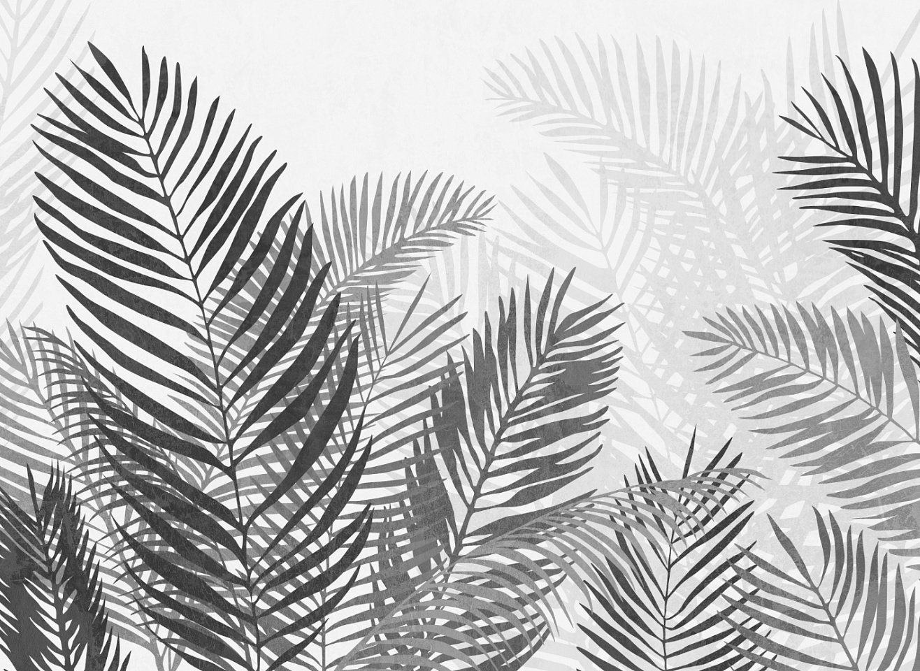 Tropics