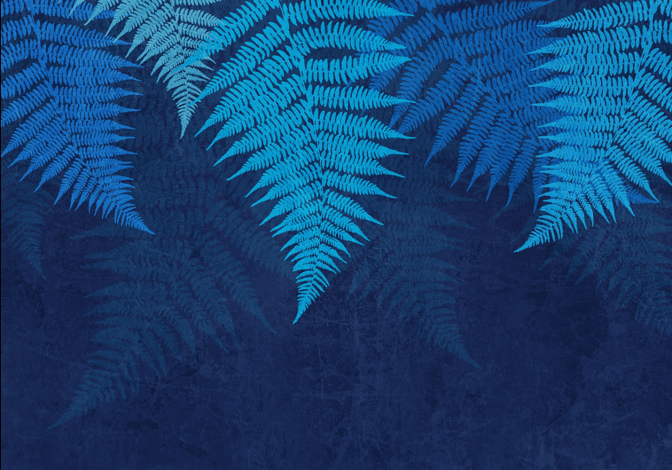 Tropics