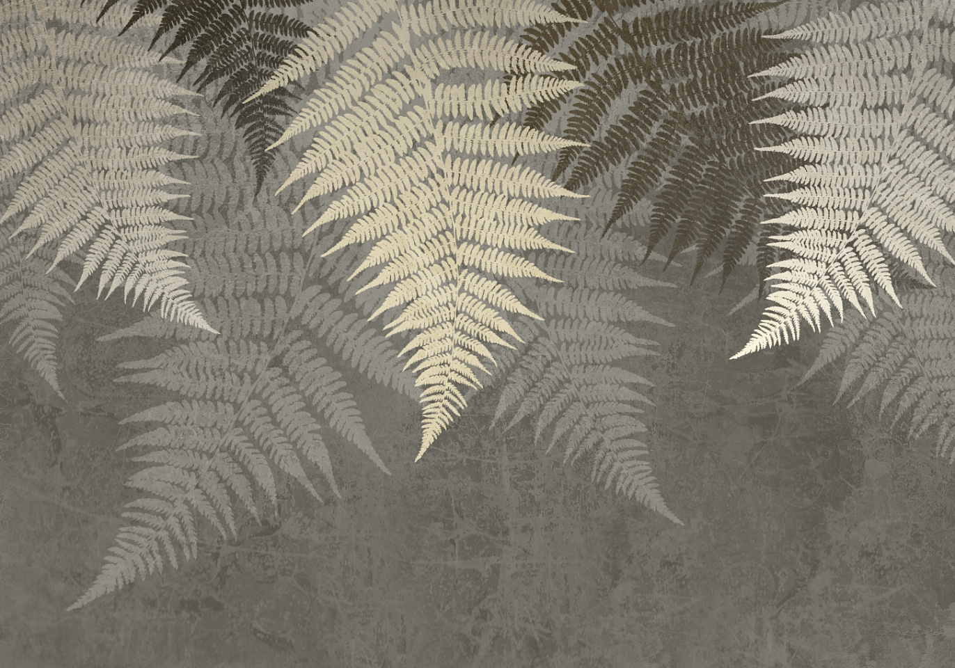 Tropics