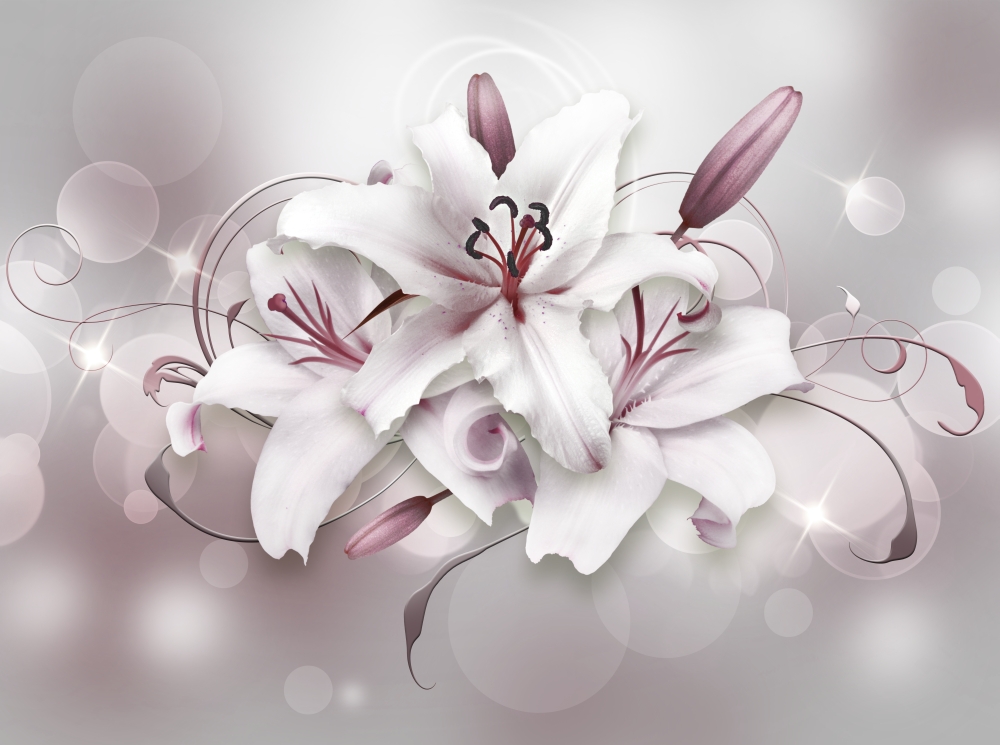 Белые лилии в серебристом цвете  