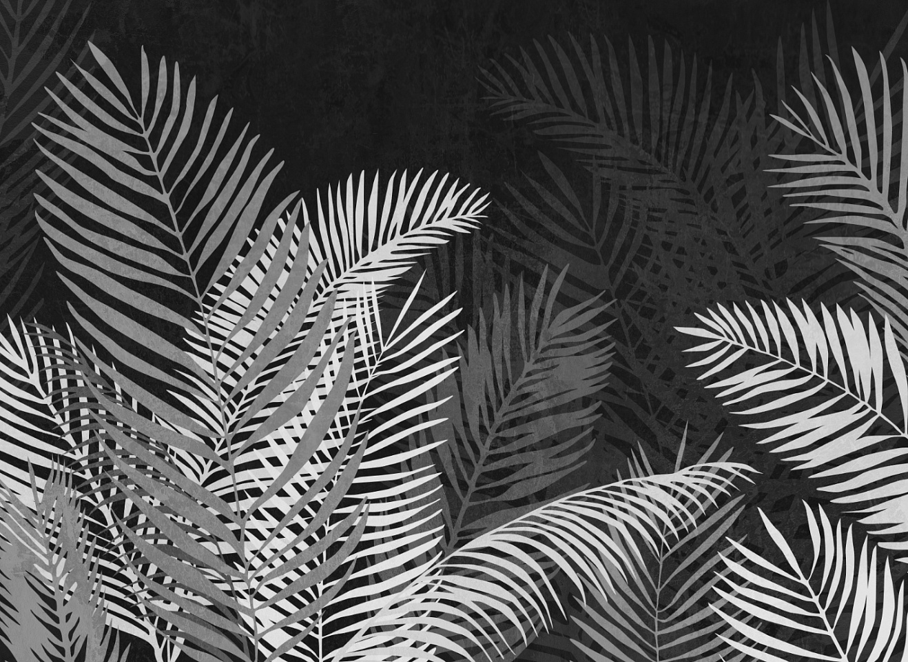 Tropics