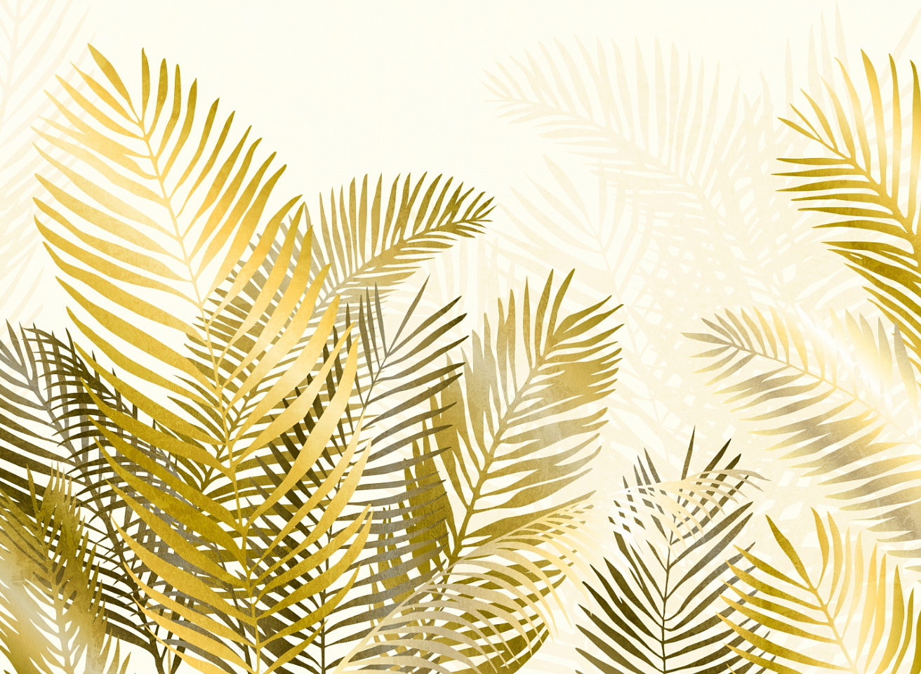 Tropics