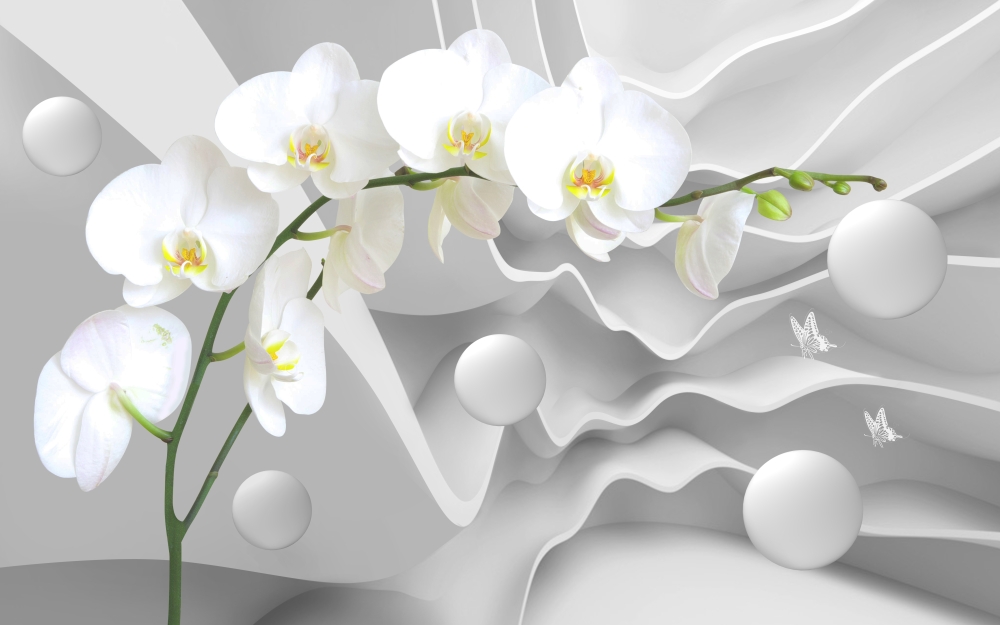 Белая орхидея с шарами