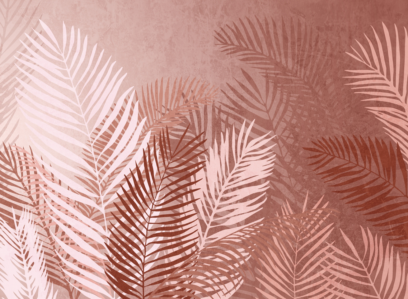 Tropics