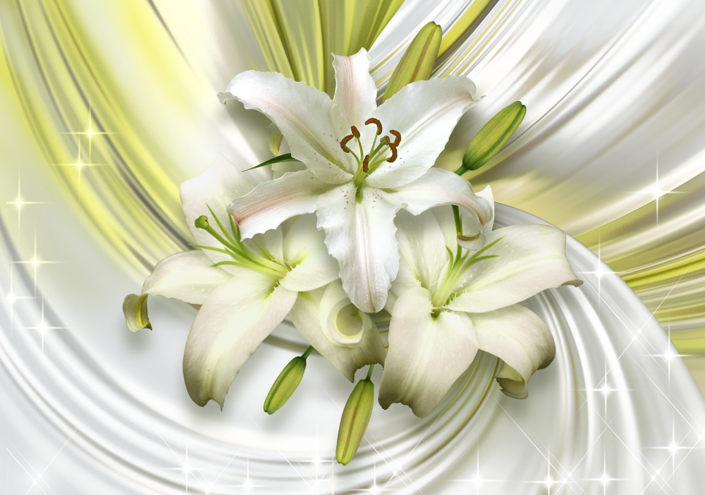 Лилии в белом шелке