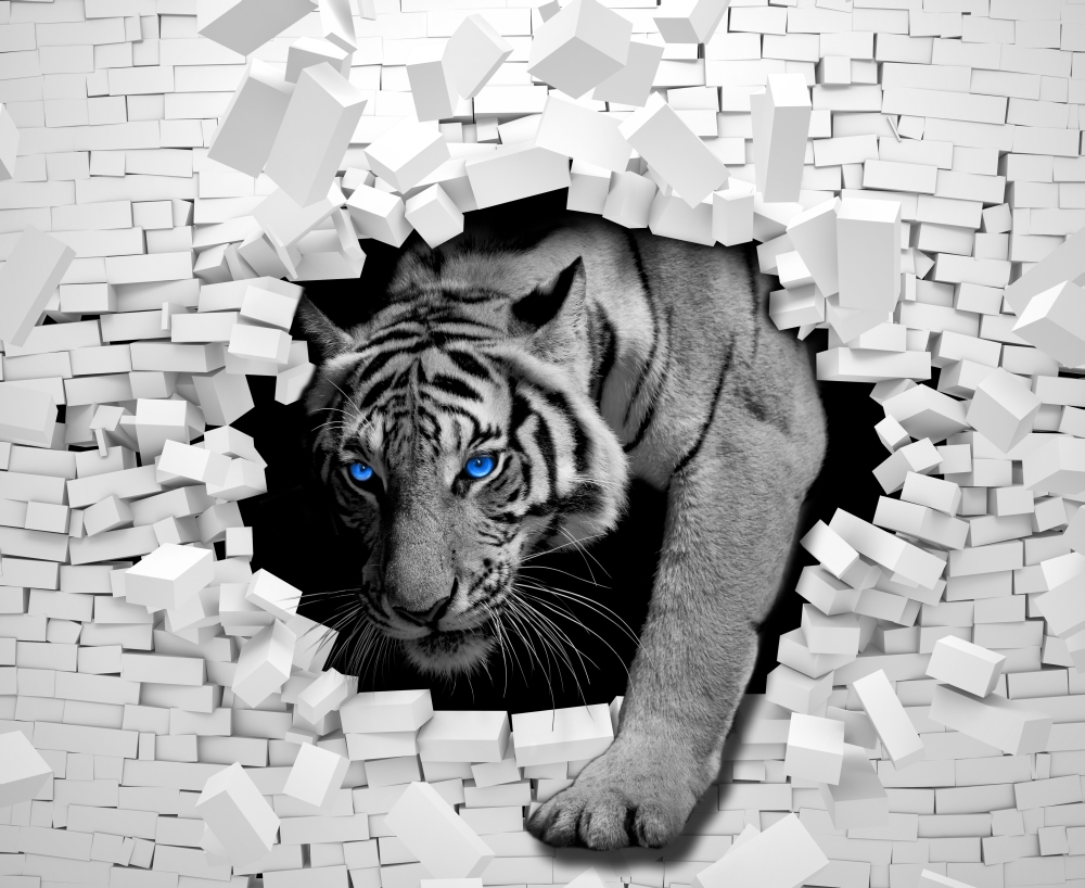 Тигр проходящий сквозь белую стену