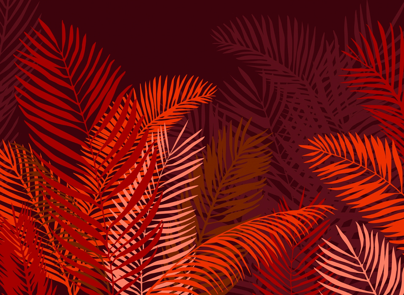 Tropics