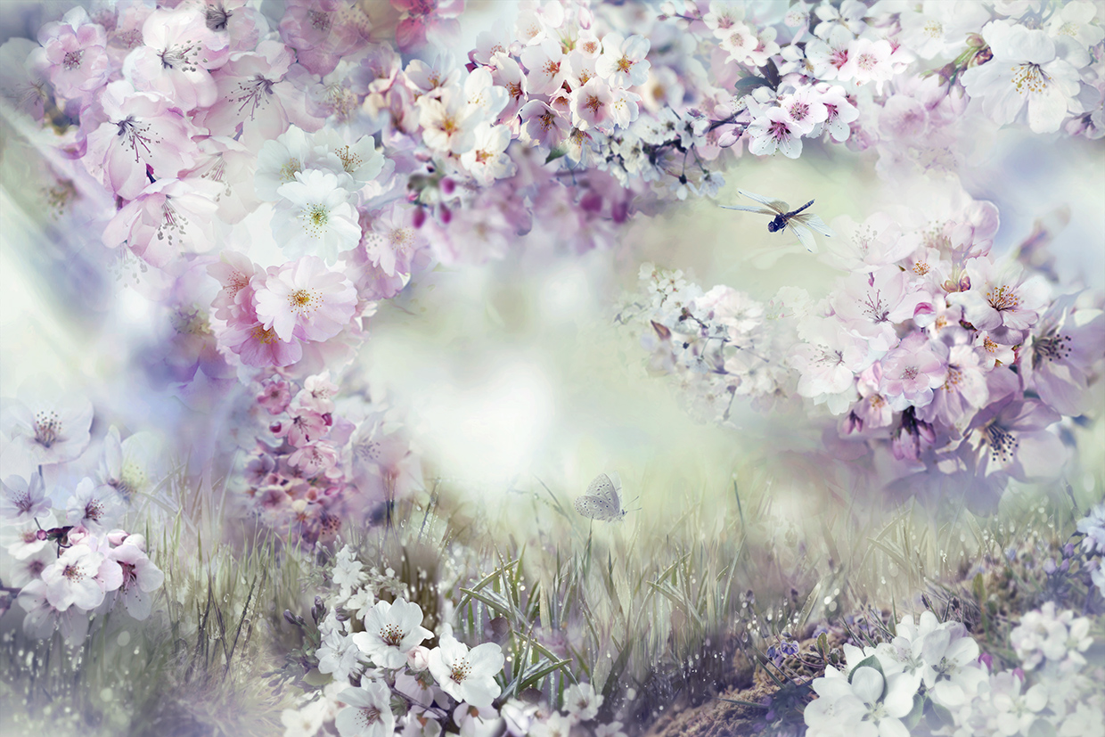 Blooming garden